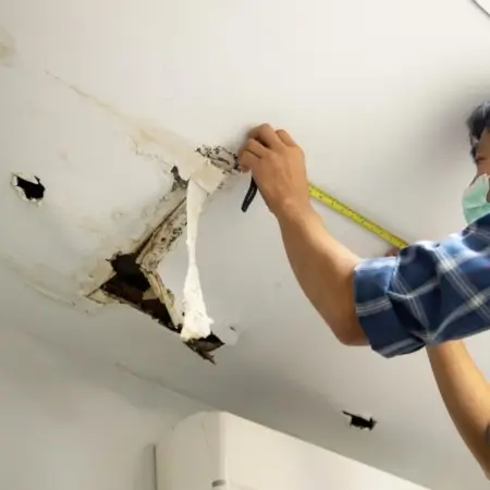 Wall Water Leakage Repair